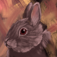 Image 1 of "Sorgenfri"  - til inntekt for Kaninhjelpen Sørlandet! 