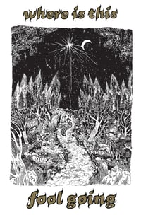 Image 1 of Where Is This Fool Going