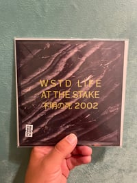 Image 3 of Wasted Life “At The Stake” 7” 