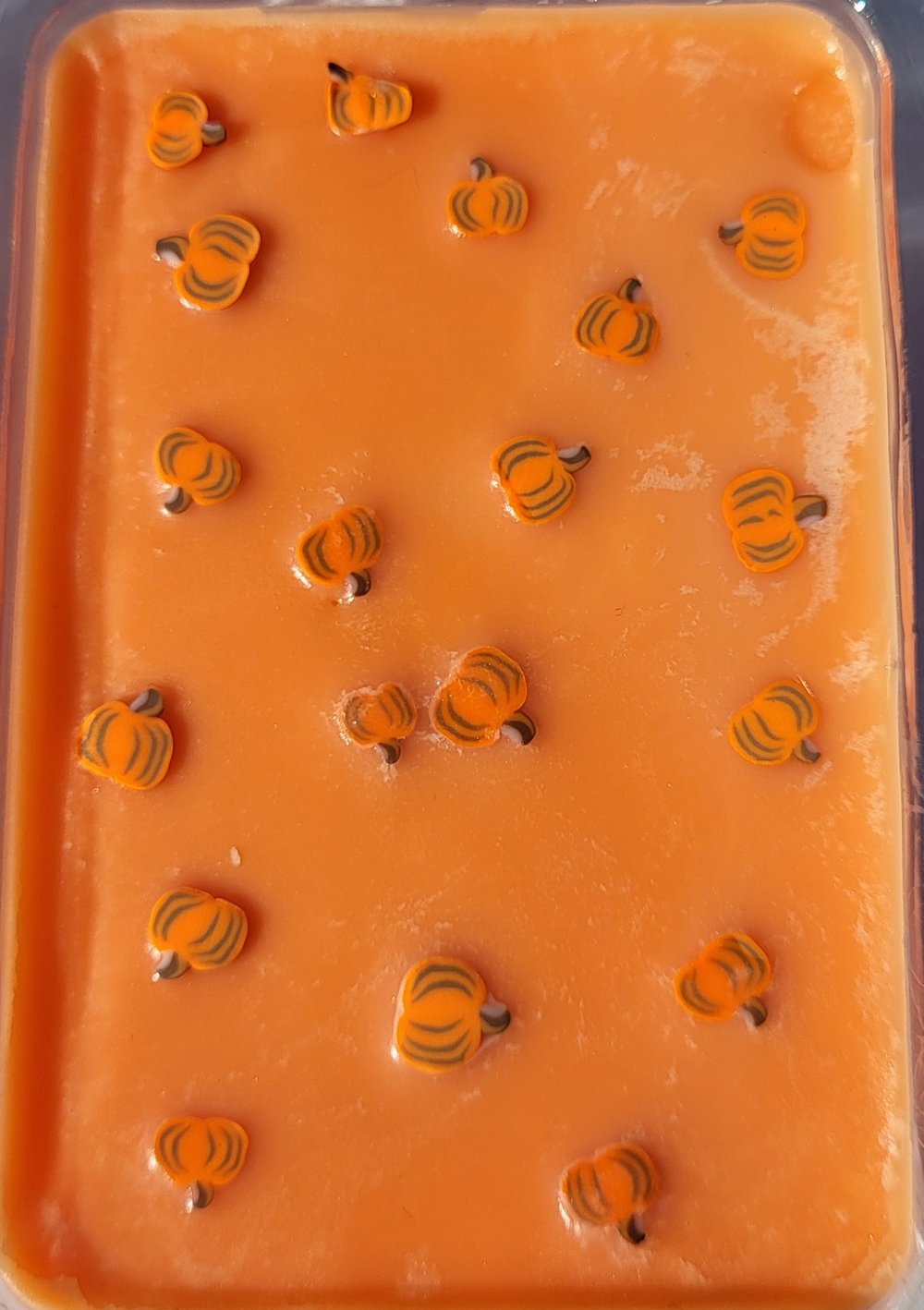 Image of Pumpkin Patch