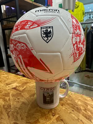 Image of Spirit of ‘58 Degree XI Football 