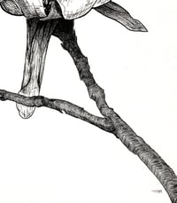 Image 3 of The Magnolia