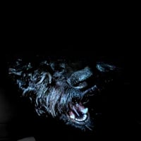 Image 3 of P.O.S x Dwynell Roland x YATA - 'RELAY! RELAY RELAY!!' LP - Preorder