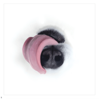 Image 4 of P.O.S x Dwynell Roland x YATA - 'RELAY! RELAY RELAY!!' LP - Preorder