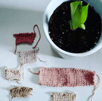 Petals + Pigments: Natural  Fabric Dyeing