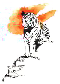 An Observation (The Tiger)