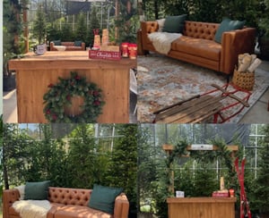 Image of 2025 Stone Post Key Gardens Holiday Minis with Bella Blue