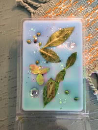 Image 2 of Bayberry Sandalwood-A Rockytop Wax Works exclusive custom houseblend fragrance 