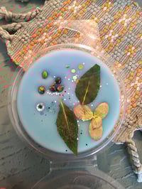 Image 8 of Bayberry Sandalwood-A Rockytop Wax Works exclusive custom houseblend fragrance 