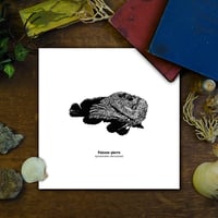 Image 1 of Poisson pierre