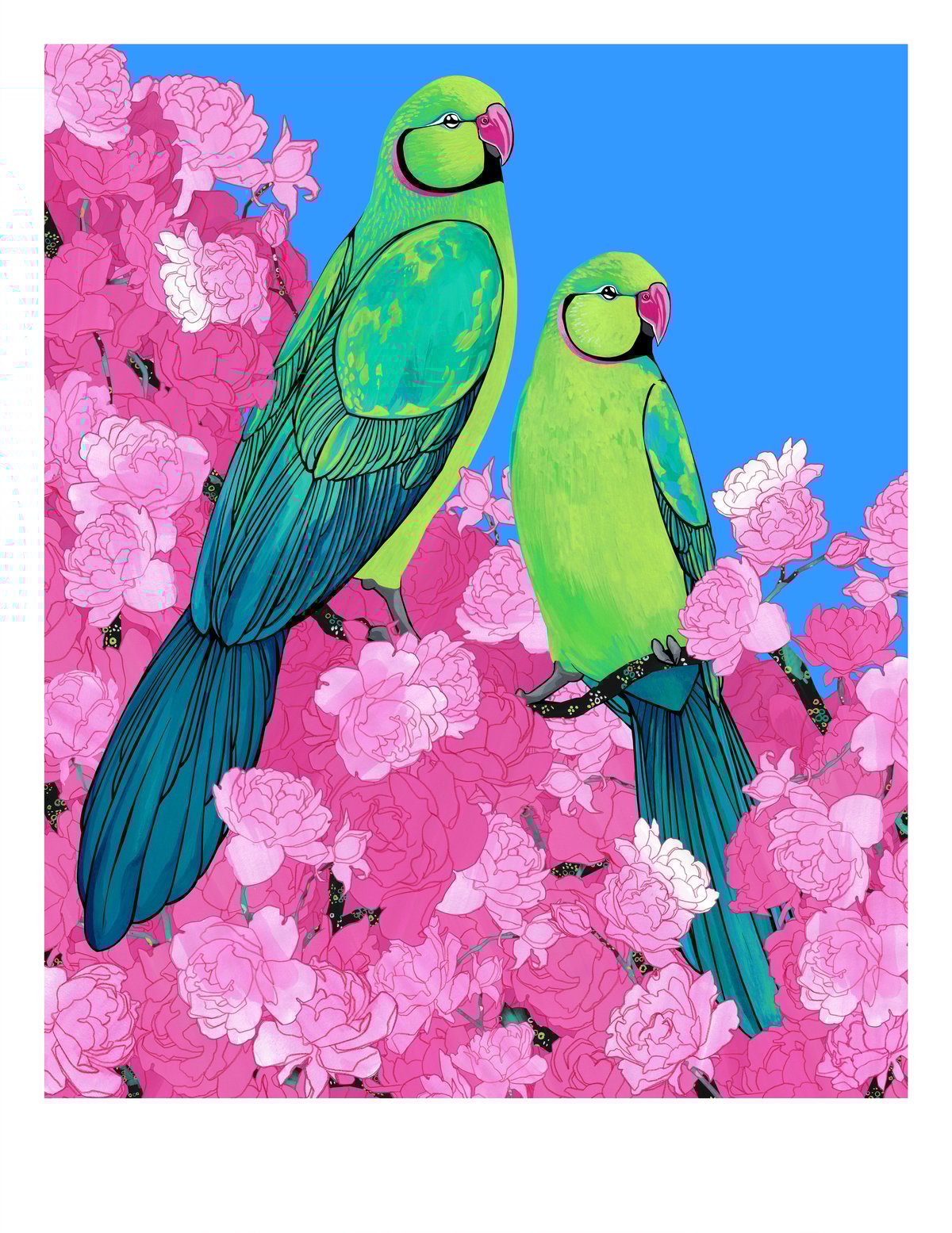 Image of Rose Ringed Parakeets and Roses (Blue)