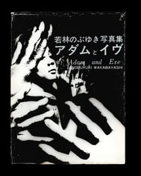 Nobuyuki Wakabayashi "Adam & Eve »