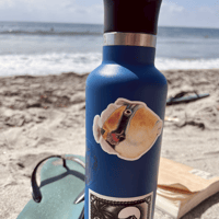 Image 4 of HONU STICKER