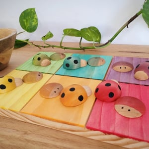 Image of Colour sorting board 