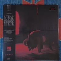 Image 1 of Knocked Loose - A Tear In The Fabric Of Life