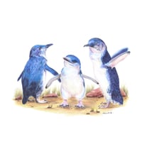 Image 1 of "Coastal Trio" - Little Penguins Print