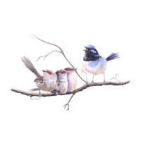 Image 1 of "Family Bonds" - Blue Wren Family Print