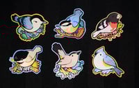 Image 4 of Bird Stickers SET 2