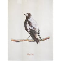 Image 2 of "Morning Songster" - Australian Magpie Tea Towel