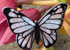 Butterfly Brooches
