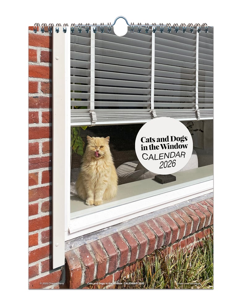 Image of Cats and Dogs in the Window • 2026 CALENDAR