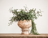 Image 1 of La Pina Vessel