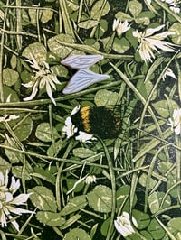 Image 4 of Tangled Clover