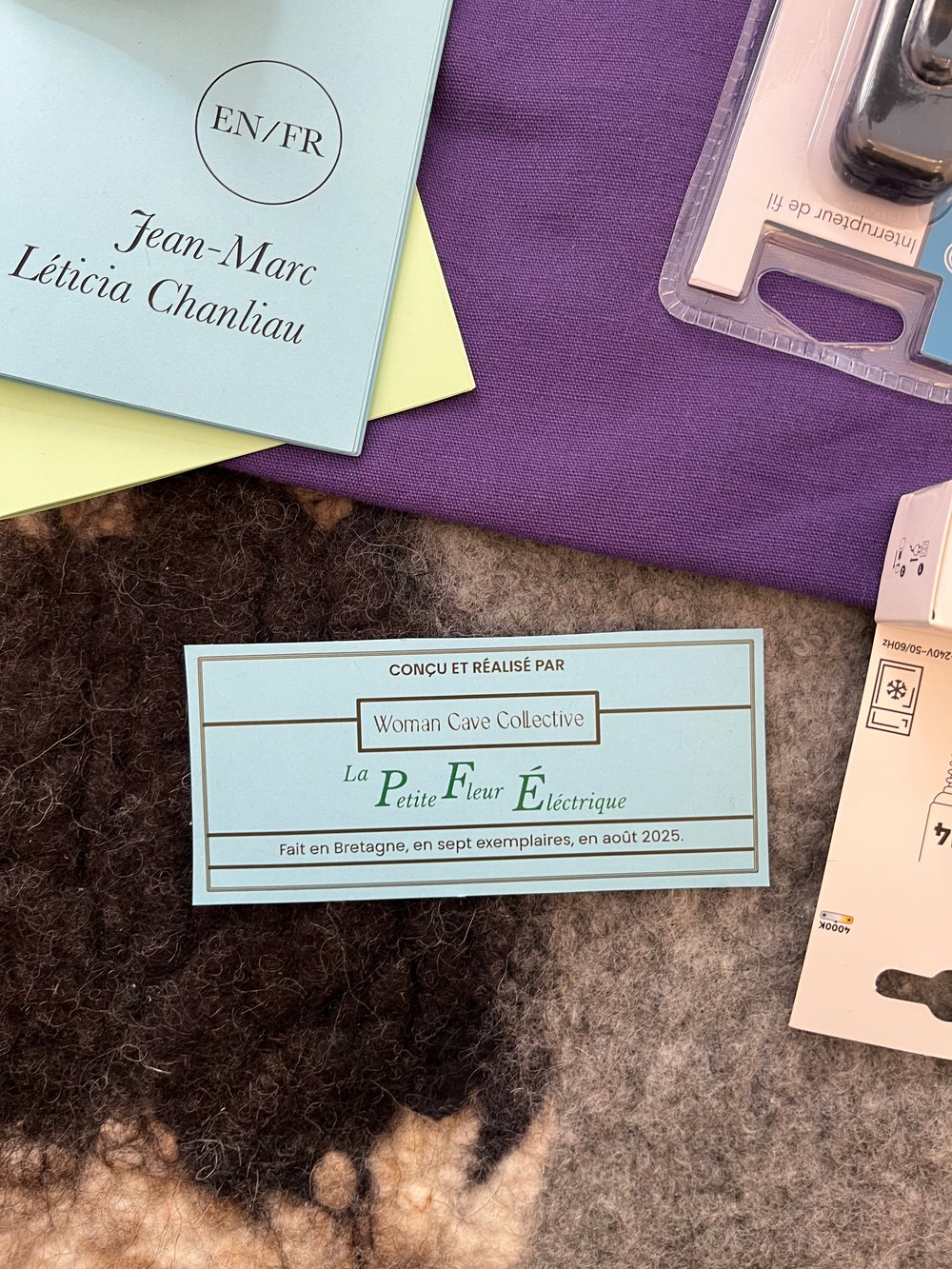 KIT FLEUR ÉLECTRIQUE - LAMPE - Bilingual FR/ENG
