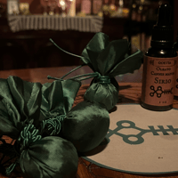 Image 1 of Resguardo de Sirio – El Fulgor del Can Mayor