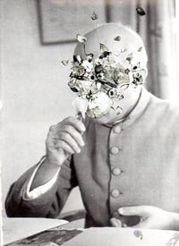 Flower to the Face, 2011