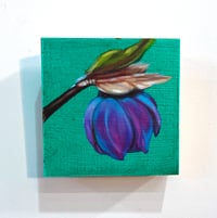 Image 2 of 'Hellebore' Painting