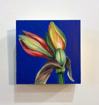 Image 2 of 'Amaryllis' Painting 