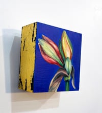 Image 1 of 'Amaryllis' Painting 