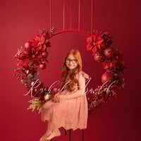 Image 3 of 8th November 2025 Christmas Mini Session