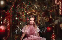 Image 2 of 16th November 2025 Christmas Mini Session