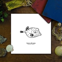 Image 1 of Poisson-coffre jaune