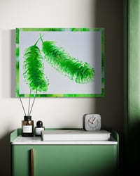 Image 4 of Opulent Gifts