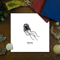 Image 1 of Méduse-boîte