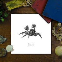 Image 1 of Crabe boxeur