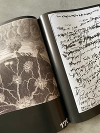 Image 4 of Mousse #92