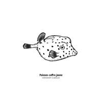 Image 2 of Poisson-coffre jaune