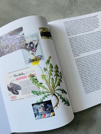 Image 4 of El Plástico, the Sun that lives inside the Rock by Goda Budvytytė, Viktorija Rybakova