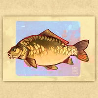 Carp Fish Print