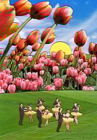 Tulips, 2025