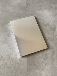 Image 1 of Inflection Sandwich by WILL HOLDER