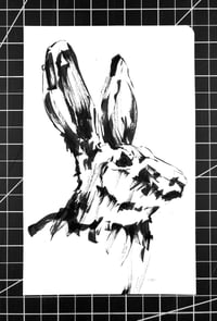 Image 2 of Rabbit Sketch