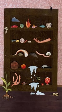 Curiosity Cabinet 2025