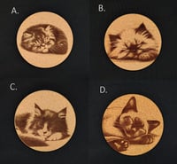 Image 1 of Sleeping Kittens