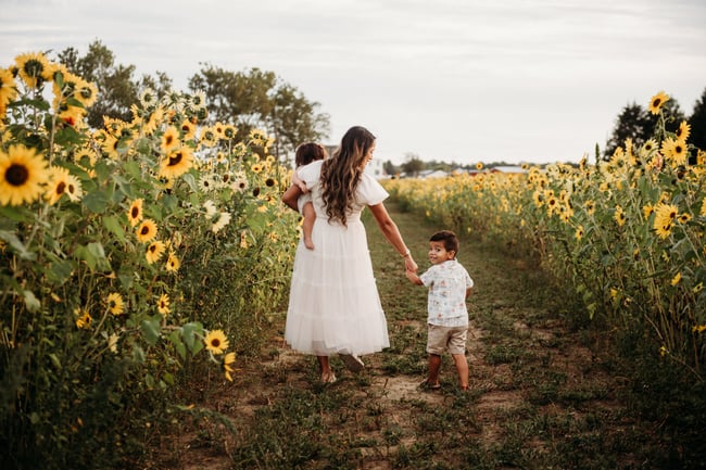 Sunflower Minis