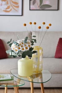 Image 4 of SIMPLY DAISIES